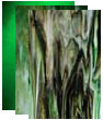 Green Stained & Specialty Glass