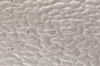 Cobblestone Texture