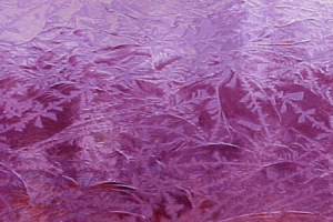 MediumPurpleGlueChip